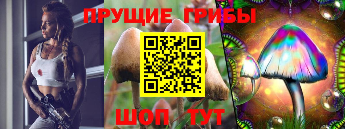 Псилоцибиновые грибы GOLDEN TEACHER  Вход с VPN  Советская Гавань 