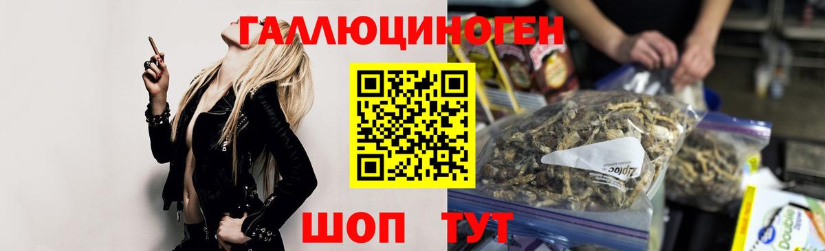Псилоцибиновые грибы Cubensis Советская Гавань